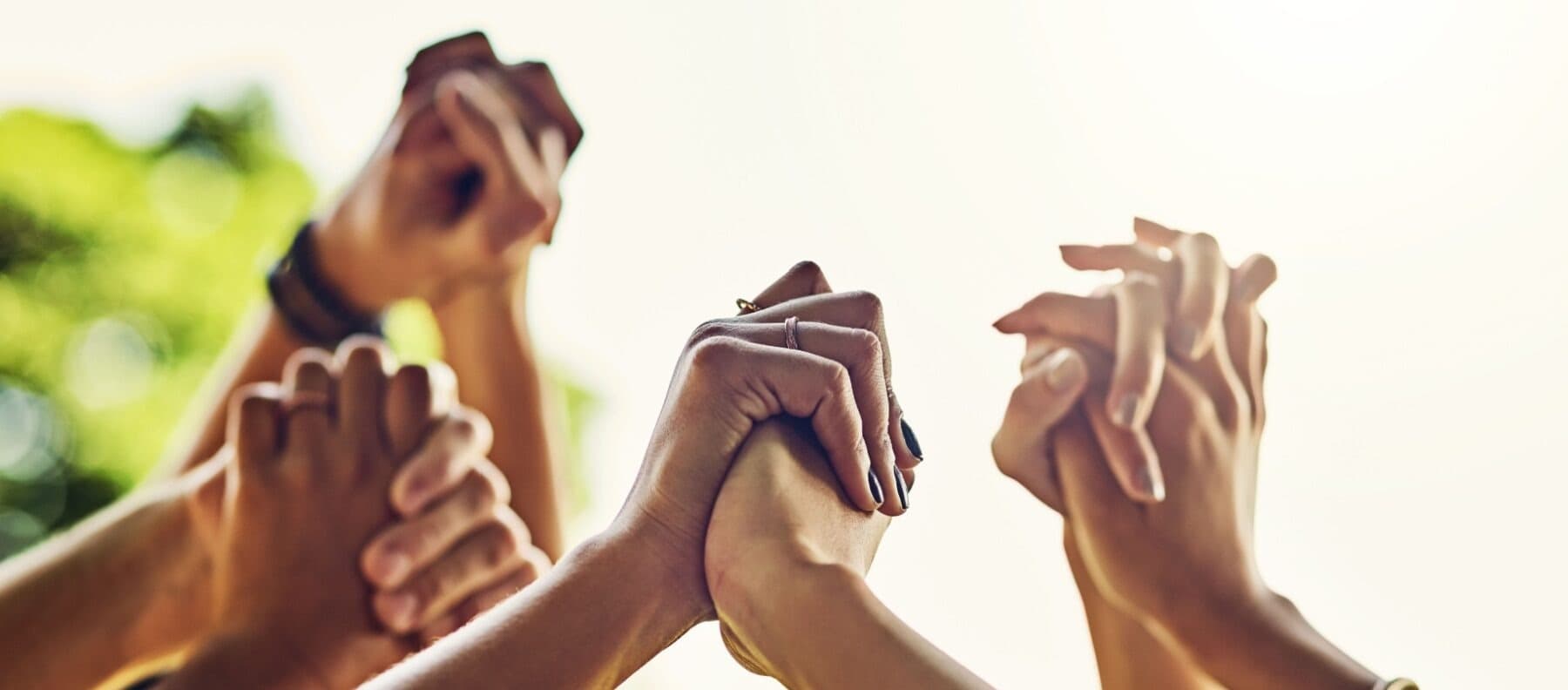 Hands clasped together, raised toward bright sunlight